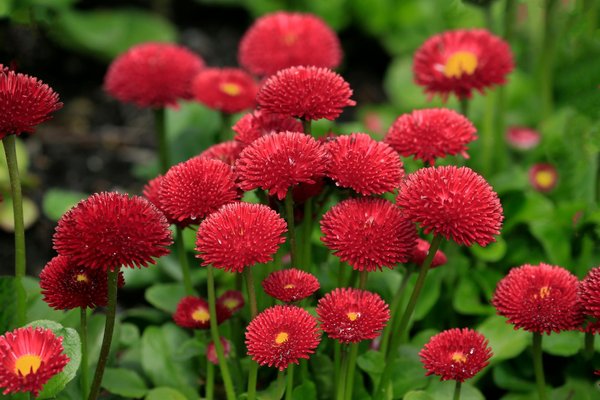 Cuisines en marbre à marseille : design et élégance intemporelle