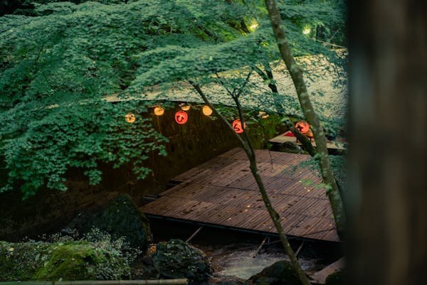 Découvrez les voiles d'ombrage rectangulaires idéales pour votre espace